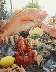 NOAA, FDA Continue Efforts to Ensure Safety of Gulf Seafood