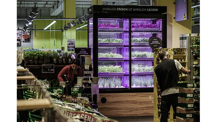Kroger Partners with Europe's Infarm for In-store Living Produce Farms