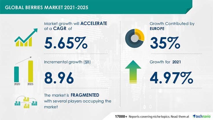 Global Berries Market 2021-2025
