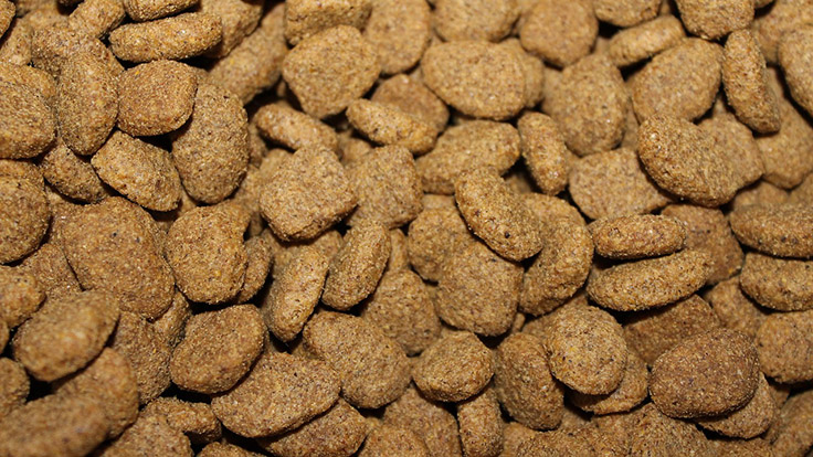 Petfood Forum China Reveals Global Trends Driving the Pet Food Market