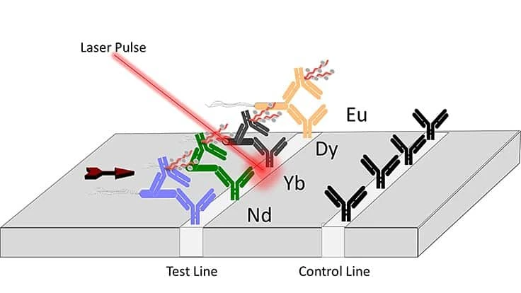 Purdue innovators have developed a lanthanide-based assay coupled with a laser that can be used to detect toxins and pathogenic E. coli in food samples, water and a variety of industrial materials.