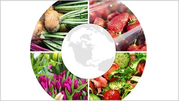 Produce Marketing Association