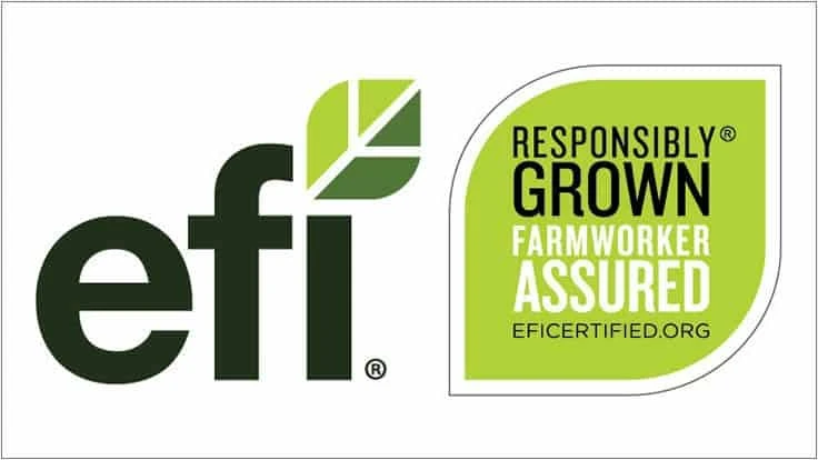 EFI