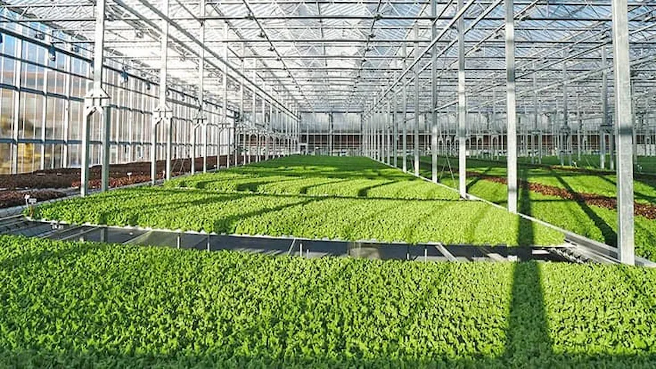 Gotham Greens' new greenhouse 