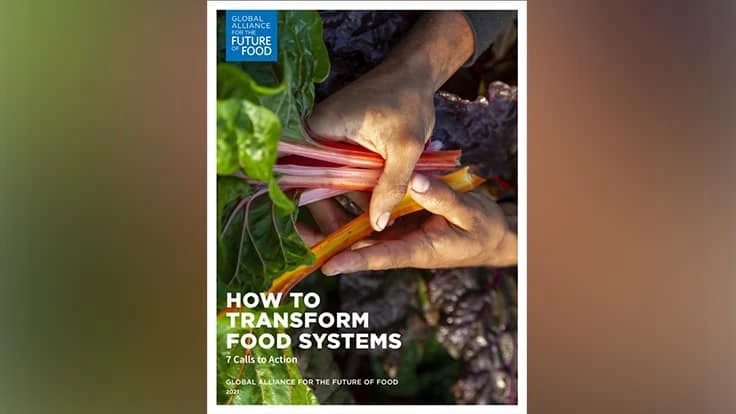 Cover of "Principles for Food Systems Transformation: A Framework for Action"
