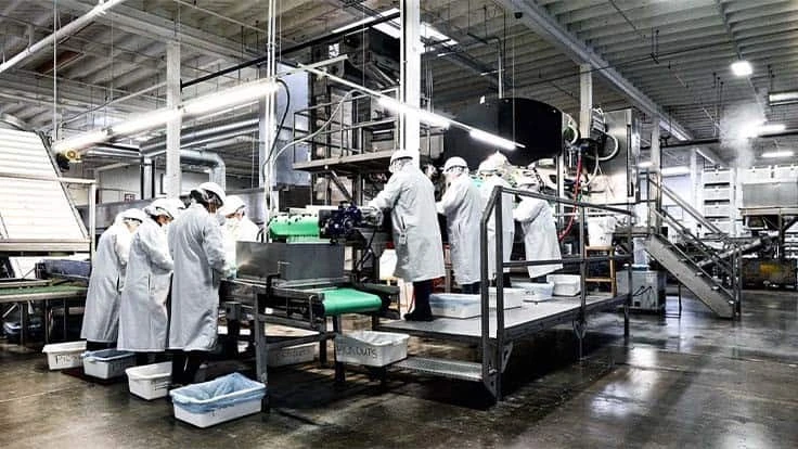 METER Food Sunrise Fresh Food Cherry