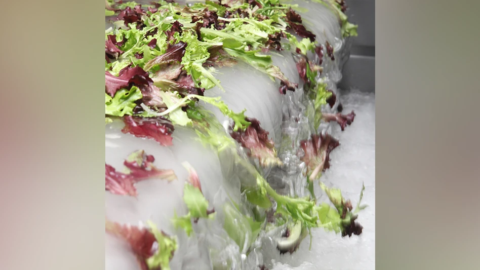 Fresh Express Leafy Greens Waterfall