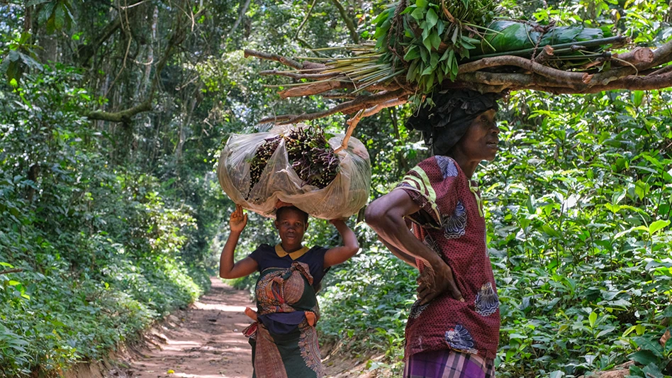 Photo by Axel Fassio