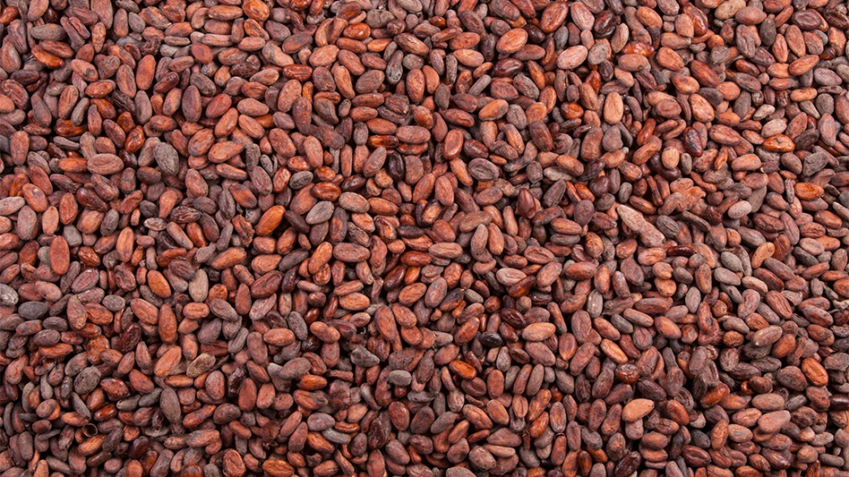 Cocoa Beans
