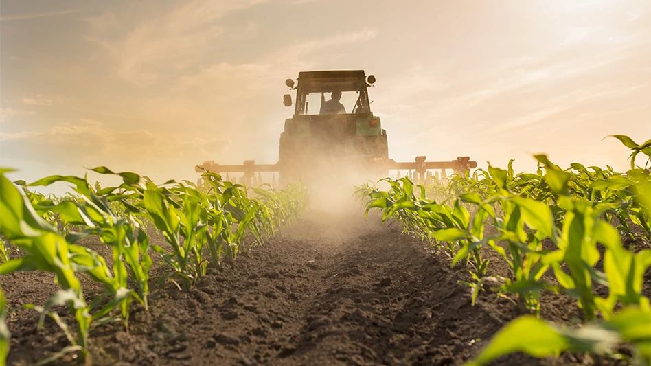 Tractor harrowing corn field