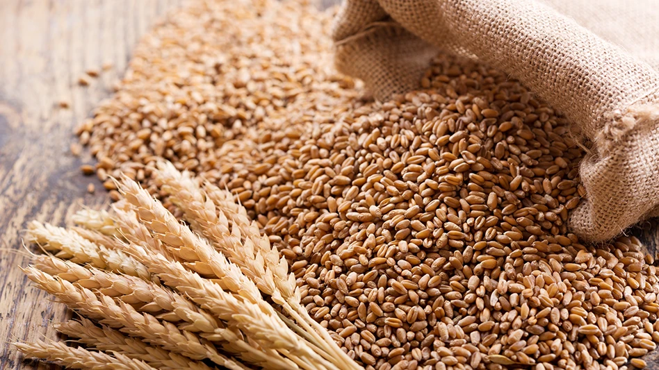 Ukraine — the world’s sixth-largest wheat exporter — is predicted to produce less than 50% of its most recent harvests, which could lead to risk of food fraud from other unverified suppliers.