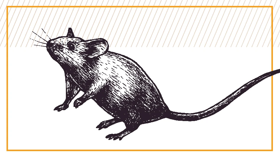 Take Control of Your Rodent Management Program - Quality Assurance ...