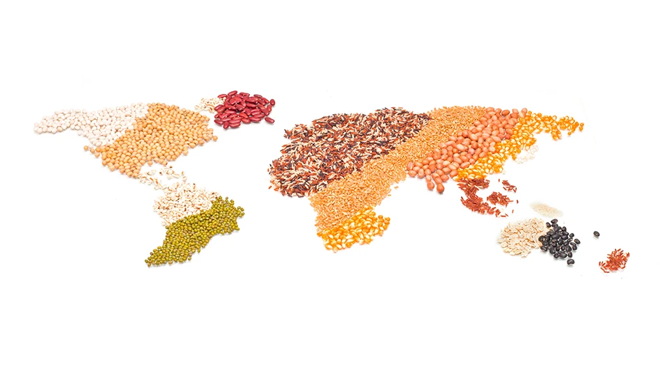 Adobe Stock | scottchan