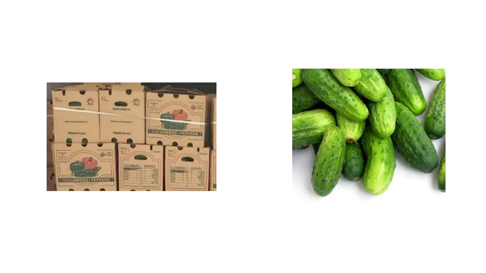 Photos courtesy Ron Simon & Associates