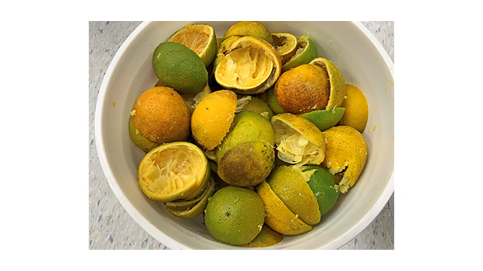 Orange peels used to make pectin.