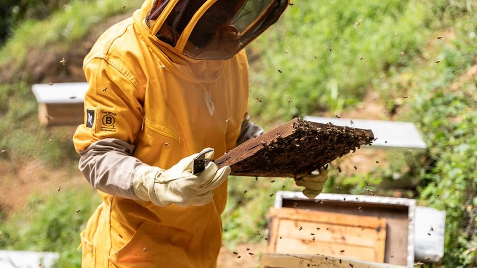 Photo courtesy Nespresso