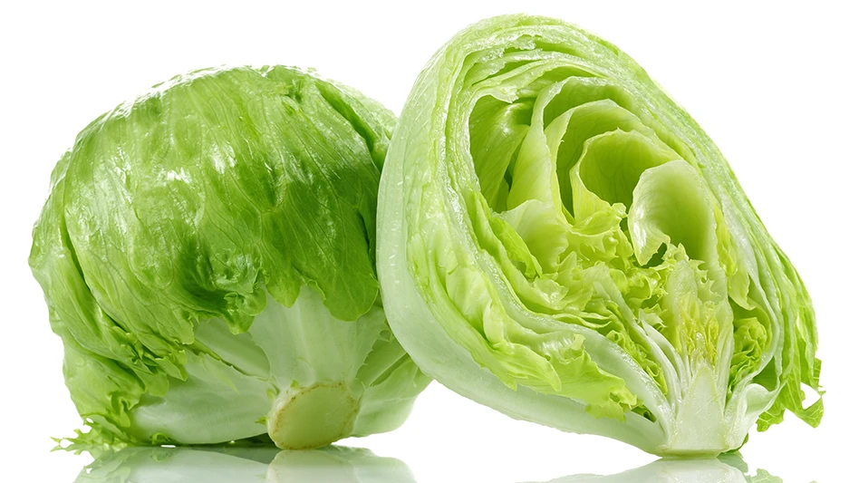 iceberg lettuce