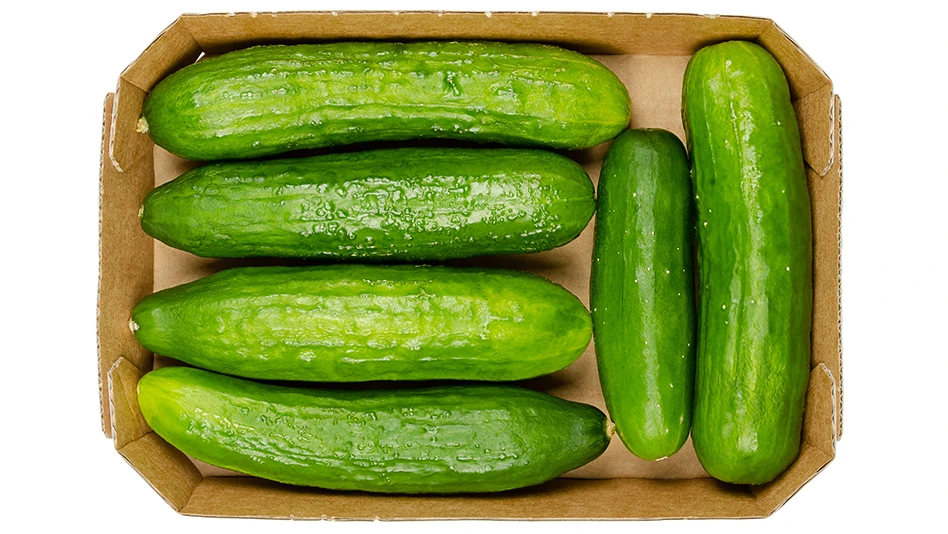 cucumber