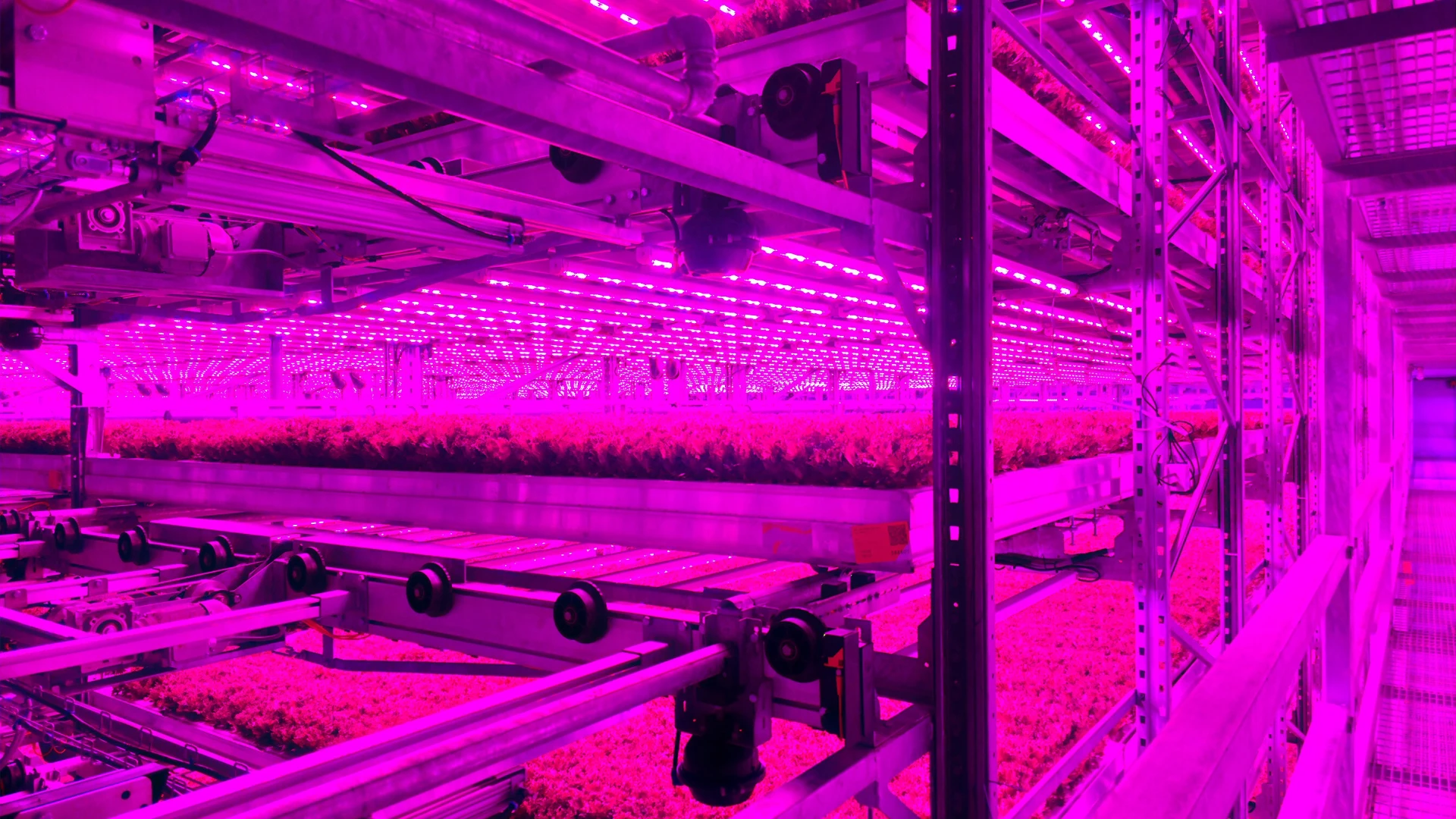Indoor Farming Leaders Unite to Build a National Powerhouse