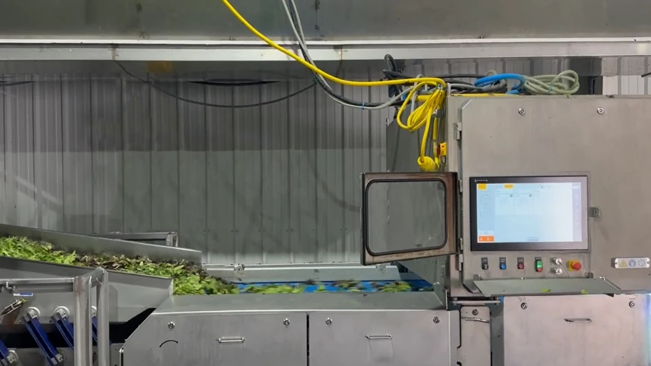 Key Technology Introduces COMPASS Optical Sorter for Leafy Greens