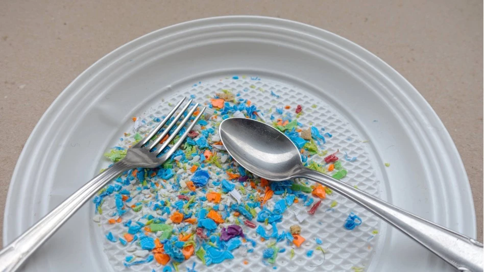 European Parliament Requests Scientific Advice on Microplastics From EFSA